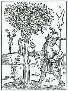 Di troppo parlare o chiacchierare, illustrazione dalla traduzione inglese di Alexander Barclay di 